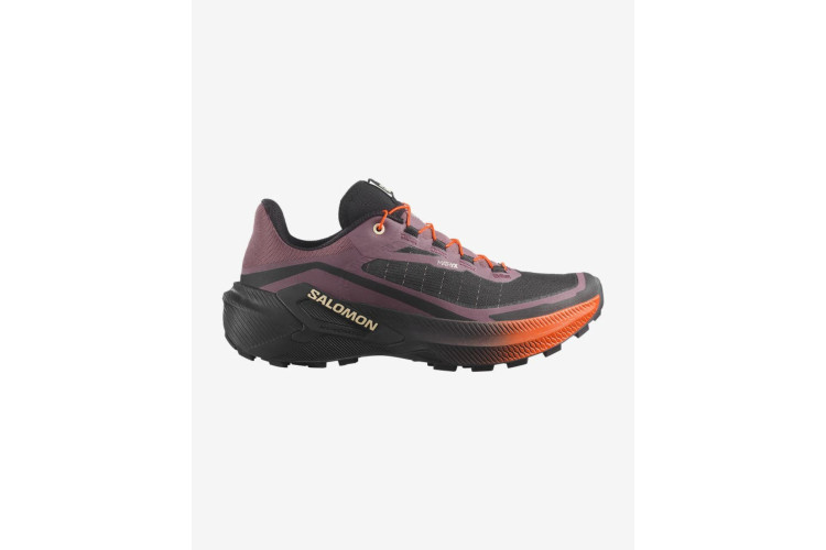 Salomon Genesis 2